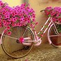 Image result for Bicycle and Flowers