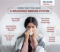 Image result for Awkward Yeti Immune System