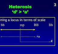 Image result for Heterosis