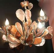 Image result for Chandelier Cactus