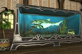 Image result for FFXIV Eastern Fish
