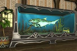 Image result for FF14 All Printable Fish