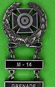 Image result for Sticky Grenade Halo Medal
