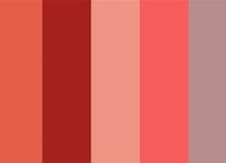 Image result for 5 Color Palette