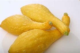 Image result for Squash Heads with Legs