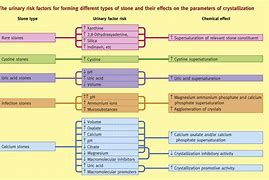 Image result for Kidney Cyst Size