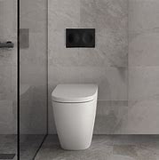 Image result for Toilet Flush Button Design for Wall