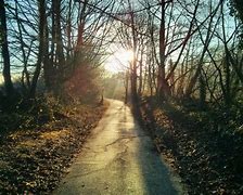 Image result for Taff Trail Tongwynlais