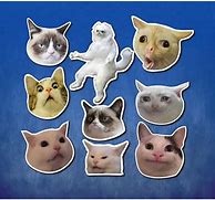 Image result for Cop Cat Meme Sticker