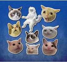 Image result for Funny Pictures for Stickers