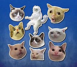 Image result for First Cat Meme