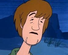 Image result for Shaggy Scooby Doo Where Are You