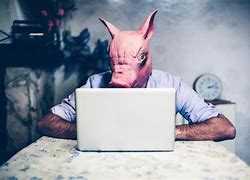 Image result for Pig Using Computer