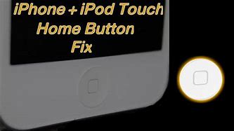 Image result for Can You Fix the Home Button On an iPhone