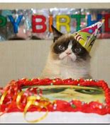 Image result for grumpiest cats party meme