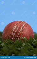 Image result for Blue Cricket Ball