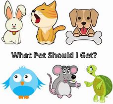 Image result for What Pet Should You Get