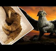 Image result for Mythical Creatures That Actually Exist