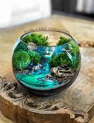 Image result for Tropical Vivarium