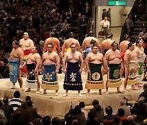 Image result for Tokyo Japan Sumo