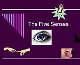 Image result for Apple 5 Senses