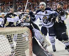 Image result for Pro Hockey