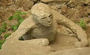 Image result for Pompeii Fossils