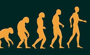 Image result for The Evolution Theory