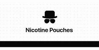 Image result for Flavored Nicotine Pouches