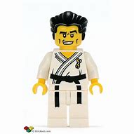 Image result for LEGO Karate Master