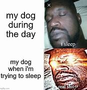 Image result for Dog Sleep Meme