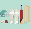 Image result for Cricket Tools
