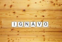 Image result for ignavo