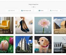 Bildergebnis für Bing Visual Search