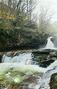 Image result for Four Falls Trail Wa