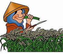 Image result for Agriculture Cartoon