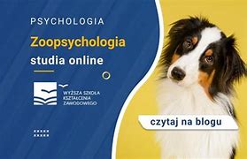 Image result for co_to_za_zoopsychologia