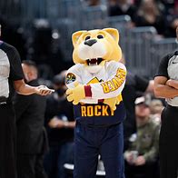 Image result for Denver Nuggets Mascot