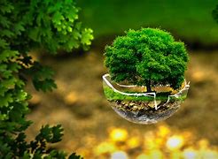 Image result for Creative Nature Backgrounds