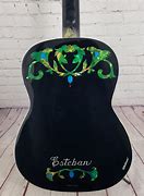 Image result for Esteban Classical Guitar