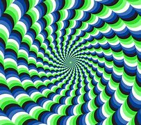 Image result for True False Illusion