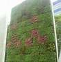 Image result for Living Plant Walls Planters
