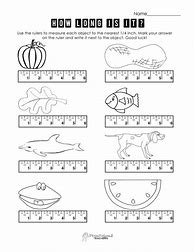 Image result for Measurement Worksheets for Kids PDF