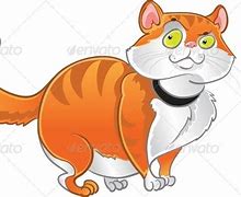 Image result for Fat Cat Memes Funny