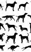 Image result for Pig Hunting Dog Silhouette