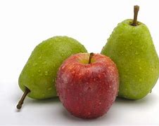 Image result for Is a Pear an Apple