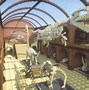 Image result for Minecraft Dinosaur Museum