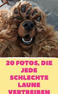 Image result for Schlechte Memes