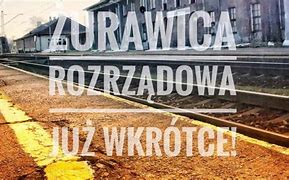 Image result for co_to_za_Żurawica_rozrządowa