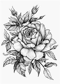 Image result for Artsy Flower Drawings